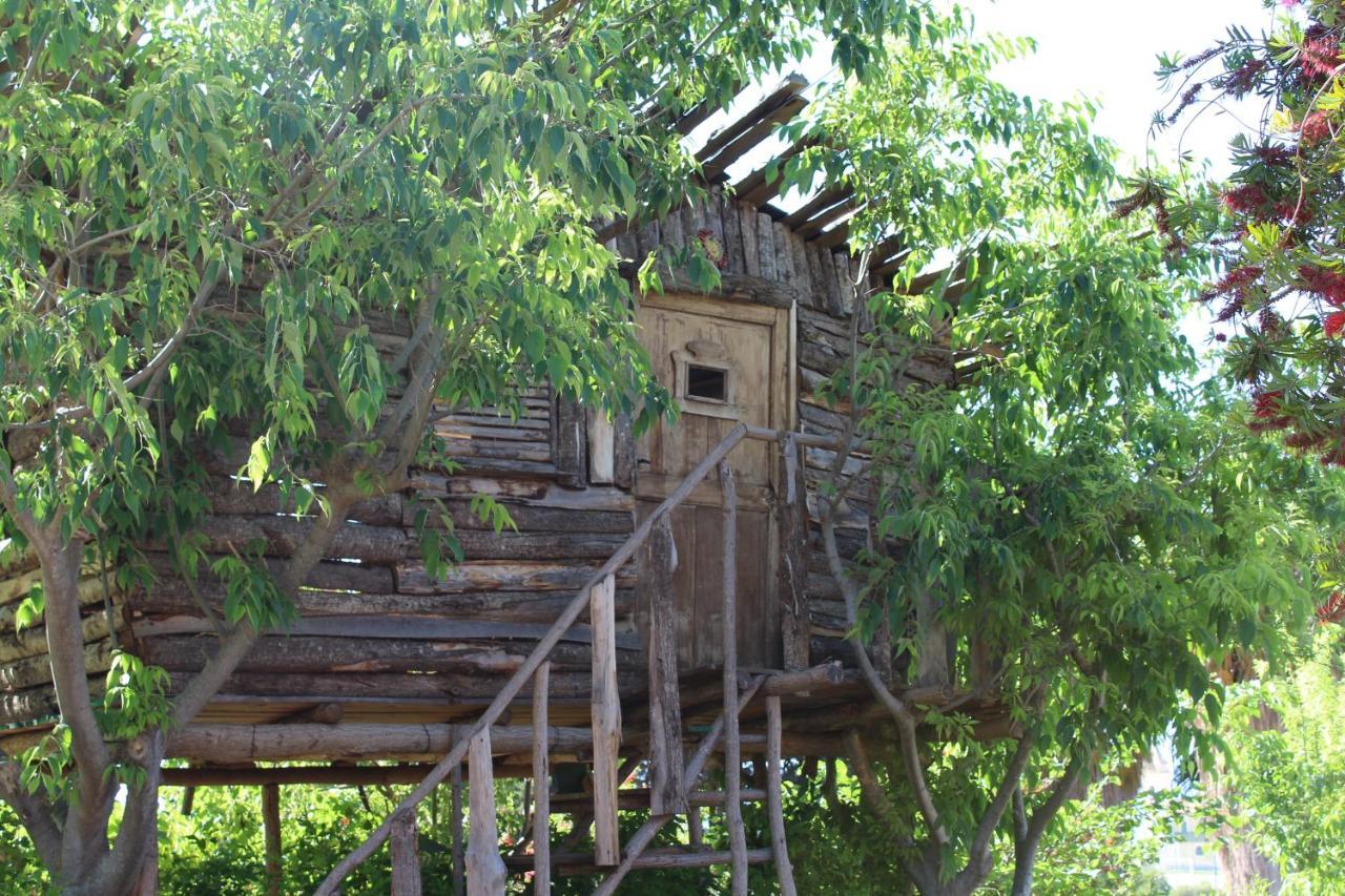 Agriturismo Ruralia Санта-Доменика Экстерьер фото