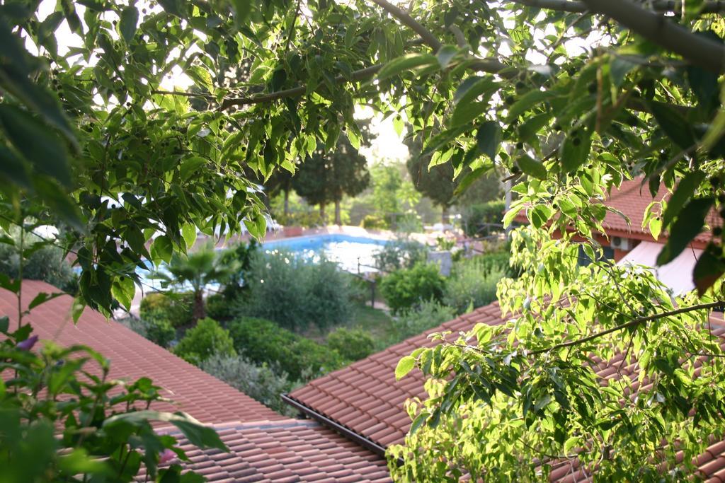 Agriturismo Ruralia Санта-Доменика Экстерьер фото