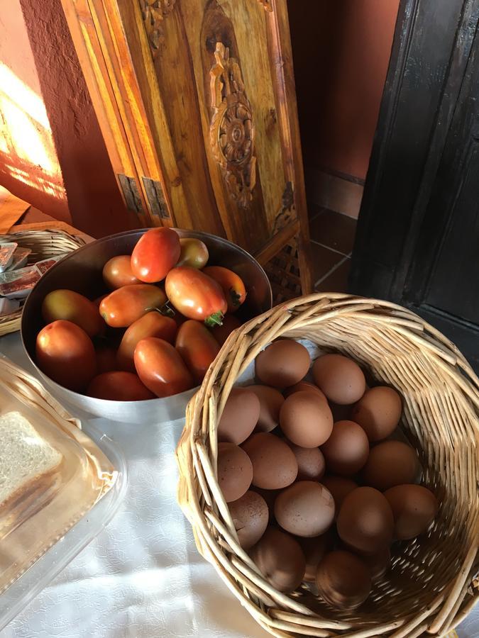 Agriturismo Ruralia Санта-Доменика Экстерьер фото